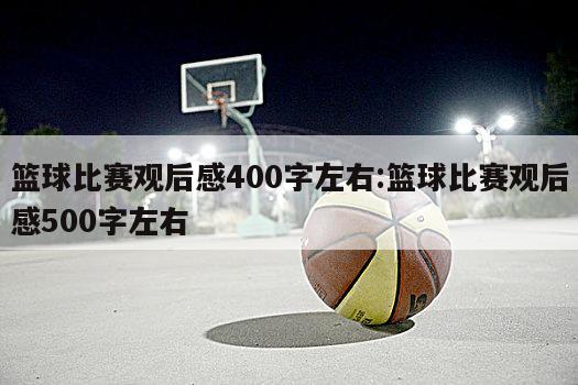 篮球比赛观后感400字左右:篮球比赛观后感500字左右