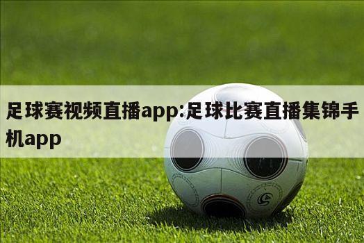 足球赛视频直播app:足球比赛直播集锦手机app