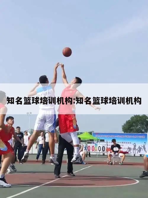 知名篮球培训机构:知名篮球培训机构