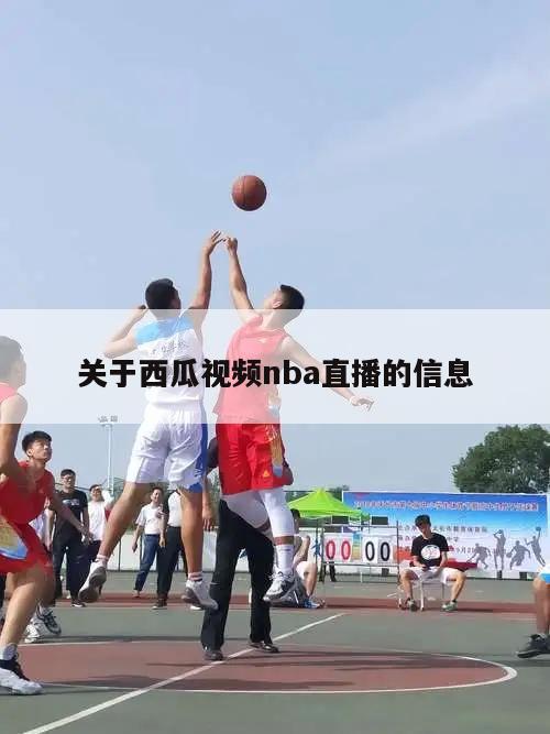 关于西瓜视频nba直播的信息