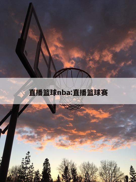 直播篮球nba:直播篮球赛