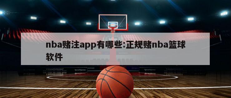 nba赌注app有哪些:正规赌nba篮球软件