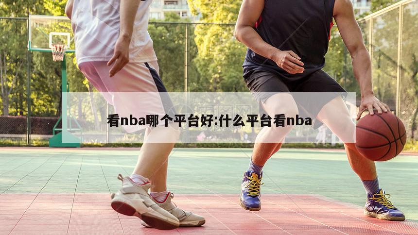 看nba哪个平台好:什么平台看nba